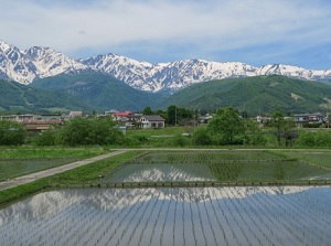 Hakuba village in spring