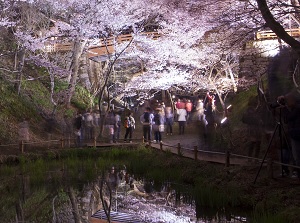 Pond in Takato Castle in the evening