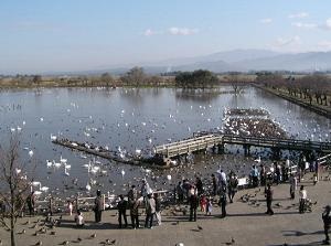 Lakeside park of Lake Hyo
