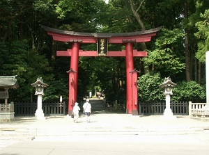 Ichi-no-Torii of Yahiko Shrine