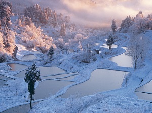 Hoshitoge Rice Terrace in winter