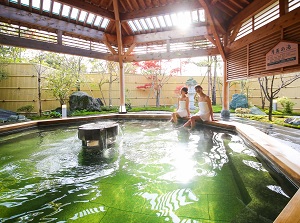 Bath of green water in a hotel in Tsukioka Onsen