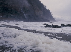 Sea foam around Tarumi Falls