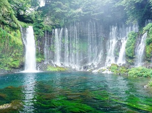 Shiraito Falls in summer