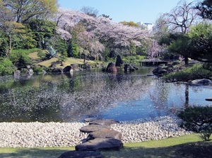 Japanese garden in spring in Sunpu Castle