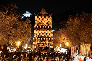 Inuyama Festivel