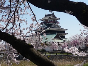 Kiyosu Castle in spring