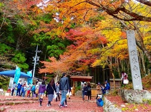 Entrance to Horaiji in autumn