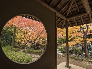Shirotori Garden in autumn