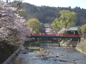 Nakabashi in spring