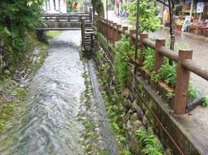 Canal in Gujo-Hachiman