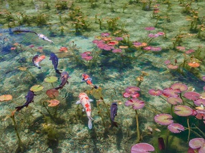 Monet's Pond