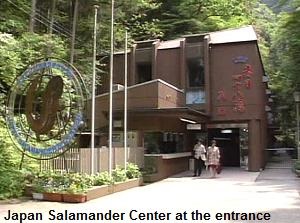 Japan Salamander Center at the entrance