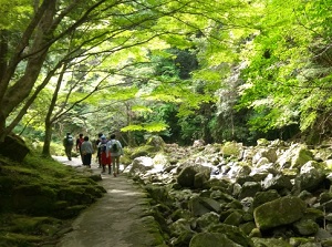 Walking trail of Akame 48 Waterfalls