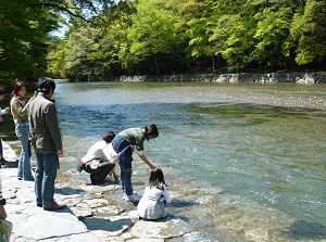 Isuzu River in Naiku