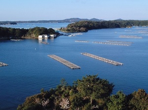 Scenery of Ago Bay from Kashikojima