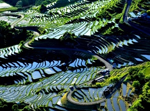 Before rice-planting in Rice Terrace