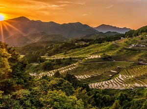 Sunset at Maruyama Rice Terrace