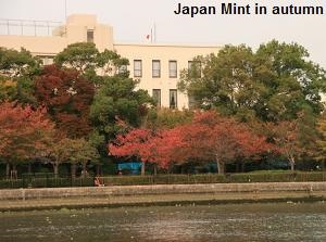 Japan Mint in autumn