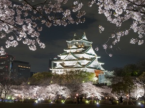 Osaka Castle and cherry blossoms