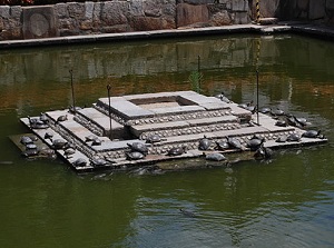 Pond of tortoises in Shitennoji