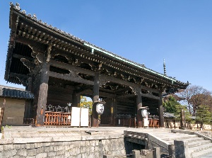 Nandaimon of Toji