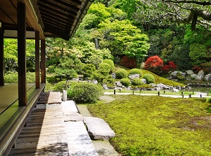 Japanese garden in Shoren-in