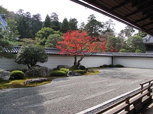 Japanese garden in Nanzenji