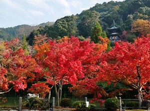 Eikando in autumn