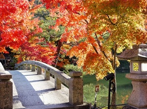 Japanese garden in Eikando in autumn