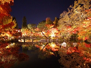 Illuminated colored leaves in Eikando