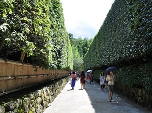 Approach with hedges in Ginkakuji
