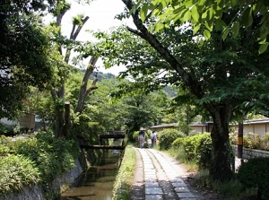 Tetsugaku-no-michi in summer