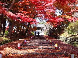 Approach to Chokushimon in Bishamon-do