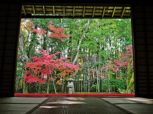 Japanese garden in Koto-in