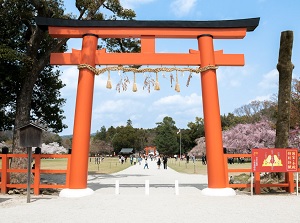 First Torii in Kamigamo Shrine