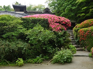 Villa of Shisendo and azaleas