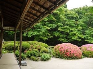 Garden of Shisendo and azaleas