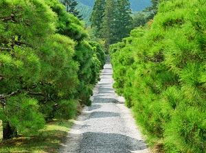 Path in Shugakuin Imperial Villa