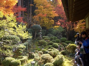 Japanese garden in sanzen-in