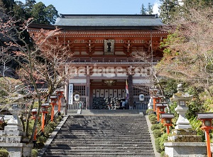 Niomon of Kurama-dera