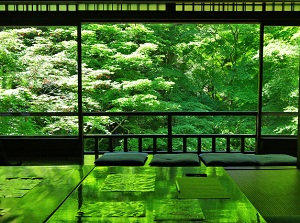 Green leaves in Ruriko-in