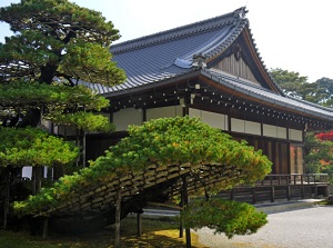 Pine trees, Rikushu-no-Matsu