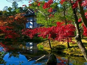 Shinji-ike in Toji-in