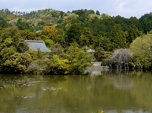 Kyoyochi pond and Houjou in Ryoanji