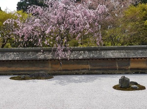 Sekitei in Ryoanji in spring