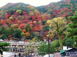 Arashiyama in autumn