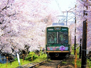 Randen tram