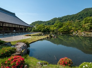 Sougenchi garden and Dai-Houjou in Tenryuji