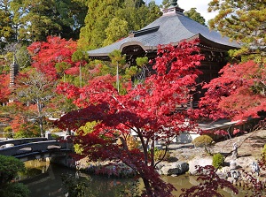 Seiryoji in autumn